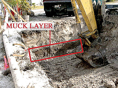 Joe Angeleri - This is the layer of "muck" that makes building unstable. It was removed, and fill dirt was brought in and compacted.